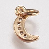 Brass Micro Pave Cubic Zirconia Charms ZIRC-E147-59G-2