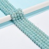 Grade A Natural Amazonite Beads Strands G-C046-01C-2