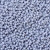 MIYUKI Round Rocailles Beads SEED-X0054-RR0498-2