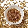 Glass Seed Beads SEED-H002-C-A037-2