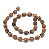 Natural Gemstone Beads Strands G-O201B-90-2