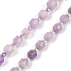 Natural Lepidolite Beads Strands G-O201B-108E-2