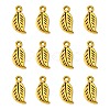 Tibetan Style Alloy Charms GLF5087Y-NF-1