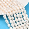 Natural Cultured Freshwater Pearl Beads Strands PEAR-F020-23A-1