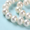 Natural Cultured Freshwater Pearl Beads Strands PEAR-E018-99-4