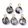 Natural Map Stone/Picasso Stone/Picasso Jasper Charms G-N326-58B-2