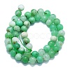 Natural Chrysoprase Beads Strands G-K245-A12-05-2