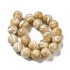 Natural Trochus Shell Beads Strands SHEL-K006-18A-2