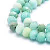 Natural Amazonite Beads Strands G-E569-I06-3