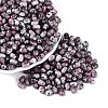 Picasso Glass Seed Beads SEED-N012-10M-1