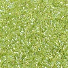 MIYUKI Delica Beads X-SEED-J020-DB0174-1