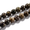 Round Natural Ocean Agate/Ocean Jasper Beads Strands G-L574-02A-1