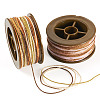 2 Rolls 2 Colors Segment Dyed Round Polyester Twisted Cords OCOR-TA0003-59C-3