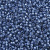 MIYUKI Round Rocailles Beads X-SEED-G007-RR0648-3