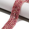 Natural Rhodonite Beads Strands G-H042-B43-01-2