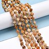 Natural Fossil Coral Beads Strands G-P463-48-2