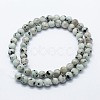 Natural Sesame Jasper/Kiwi Jasper Beads Strands X-G-I199-29-8mm-2