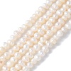 Natural Cultured Freshwater Pearl Beads Strands PEAR-I007-07L-02A-2
