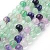 Natural Fluorite Beads Strands G-P318-05-6mm-1