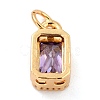Real 18K Gold Plated Brass Inlaid Cubic Zirconia Charms ZIRC-L100-075G-01-3