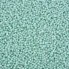 13/0 Glass Seed Beads SEED-T005-14A-A19-3