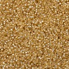MIYUKI Round Rocailles Beads X-SEED-G007-RR0003-3