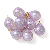 8Pcs UV Plating Acrylic Pendants FIND-YW0002-04G-1