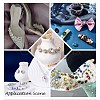 Sew on Rhinestone GLAA-N048-001A-04-4