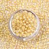 (Repacking Service Available) 8/0 Glass Seed Beads SEED-C025-3mm-2202-3