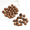 Undyed Natural Rudraksha Beads WOOD-T030-01-4