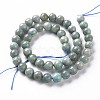 Natural Amazonite Beads Strands G-S333-8mm-005-2
