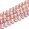 Natural Cultured Freshwater Pearl Beads Strands PEAR-N016-06C-02-2