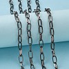 Iron Paperclip Chains CH-R025-13x6mm-B-2