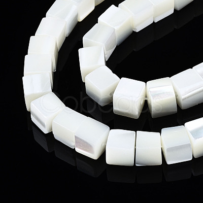 Natural Trochid Shell/Trochus Shell Beads Strands SSHEL-S266-008-1