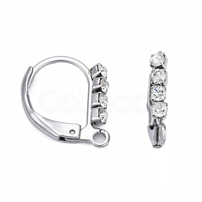 304 Stainless Steel Leverback Earring Findings STAS-N092-141-1