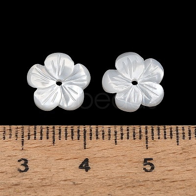 Natural White Shell Beads SH-CBA93AD-07B-1