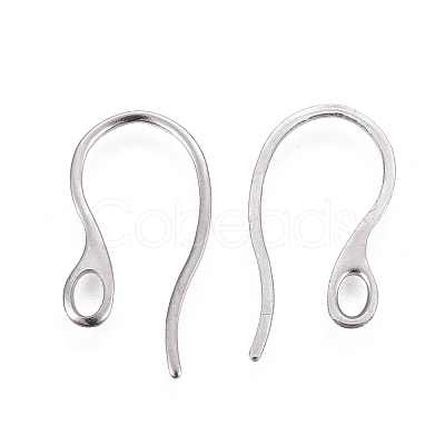 Tarnish Resistant 304 Stainless Steel Earring Hooks STAS-I100-23P-1