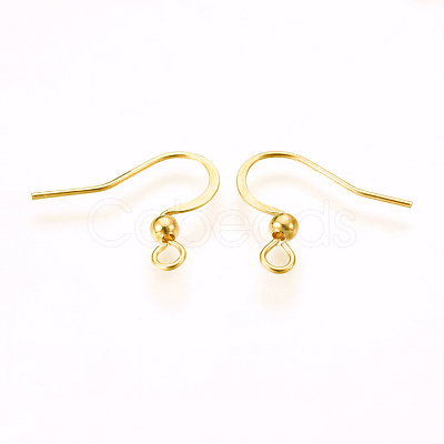 316 Surgical Stainless Steel Earring Hooks X-STAS-P220-13G-1