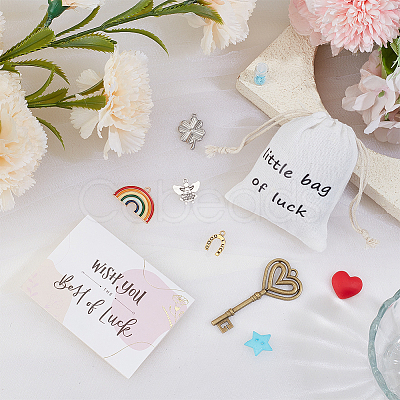 DIY Lucky Little Gift Bag Set DIY-OC0014-77-1