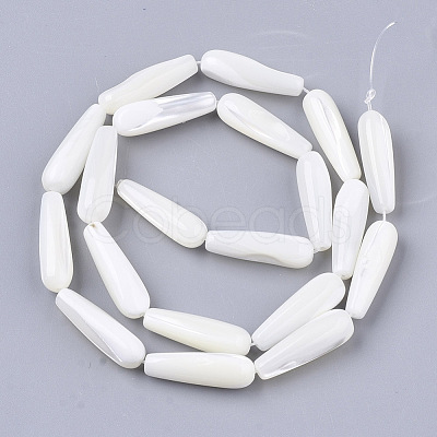Natural Trochid Shell/Trochus Shell Beads Strands X-SSHEL-N032-03-1