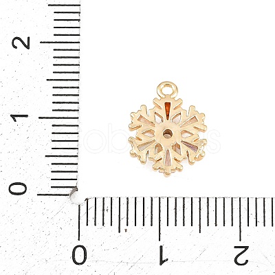 1Pc Brass Cubic Zirconia Charms KK-YW0003-89-1