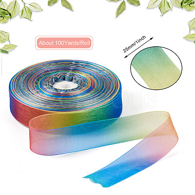 Polyester Organza Ribbons ORIB-BT0001-02-1