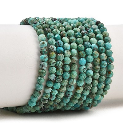Natural HuBei Turquoise Beads Strands GG-CBA767B-A02-3MM-1