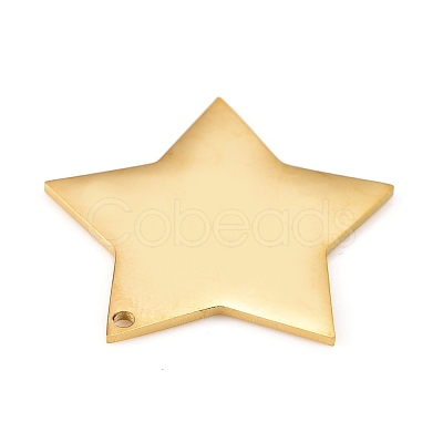 304 Stainless Steel Pendants STAS-L238-108B-G-1