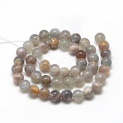 Natural Black Sunstone Beads Strands G-R446-10mm-33-1