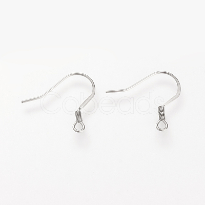 Tarnish Resistant 304 Stainless Steel French Earring Hooks X-STAS-S066-08-1