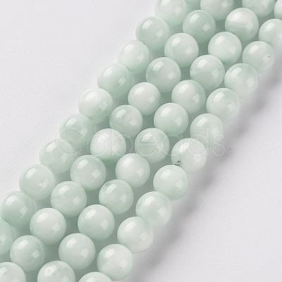 Glass Beads Strands GLAA-SZ0001-61B-1