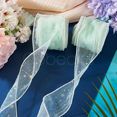 Polyester Deco Mesh Ribbons OCOR-TAC0024-004G-1