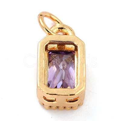 Real 18K Gold Plated Brass Inlaid Cubic Zirconia Charms ZIRC-L100-075G-01-1