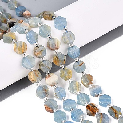 Natural Blue Calcite Beads Strands G-P534-A24-01-1